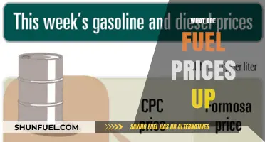 Why Are Fuel Prices Rising? Understanding the Global Surge in Costs
