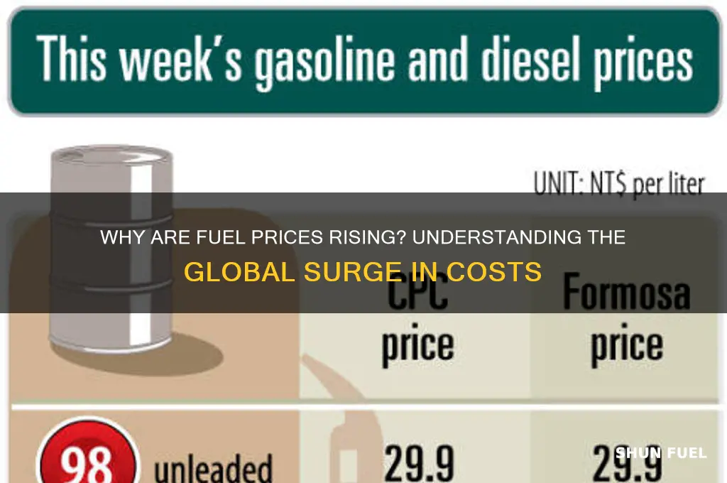 what are fuel prices up