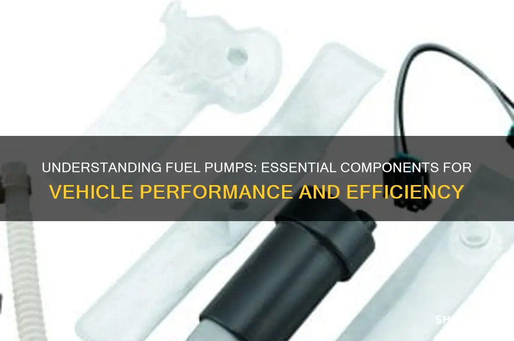 what are fuel pumps