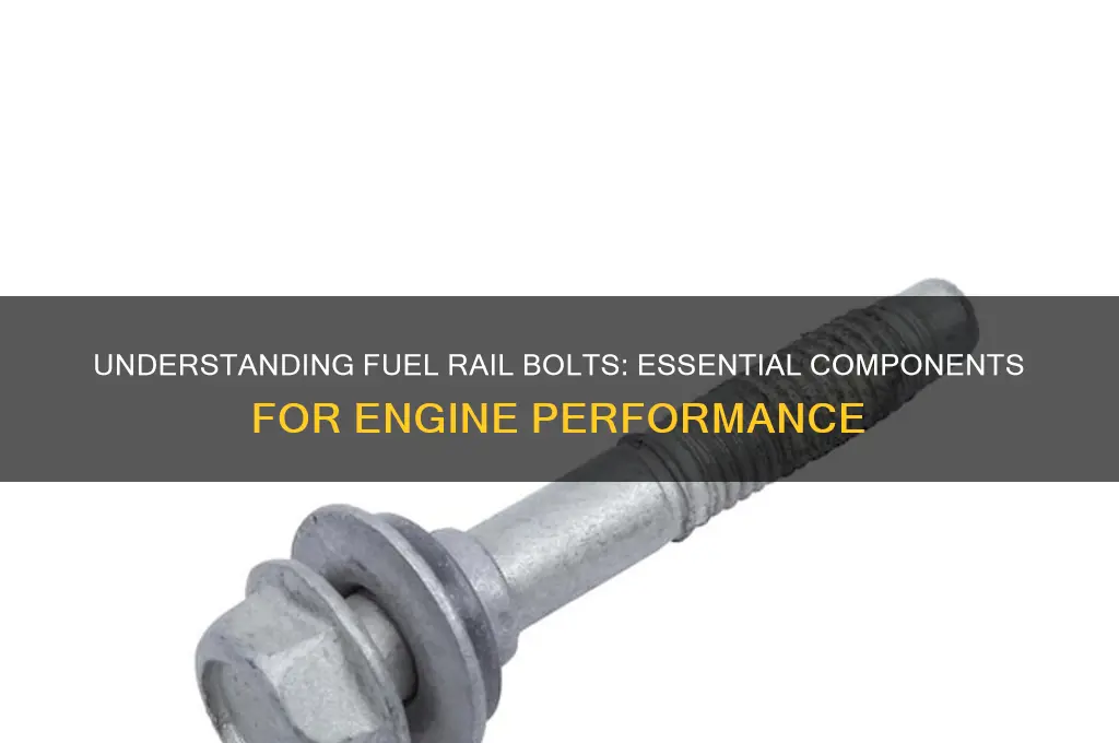 what are fuel rail bolts