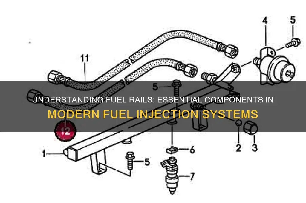 what are fuel rails