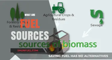 Exploring Diverse Fuel Sources: Types, Uses, and Sustainability Insights