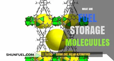 Understanding Fuel Storage Molecules: Types, Functions, and Applications