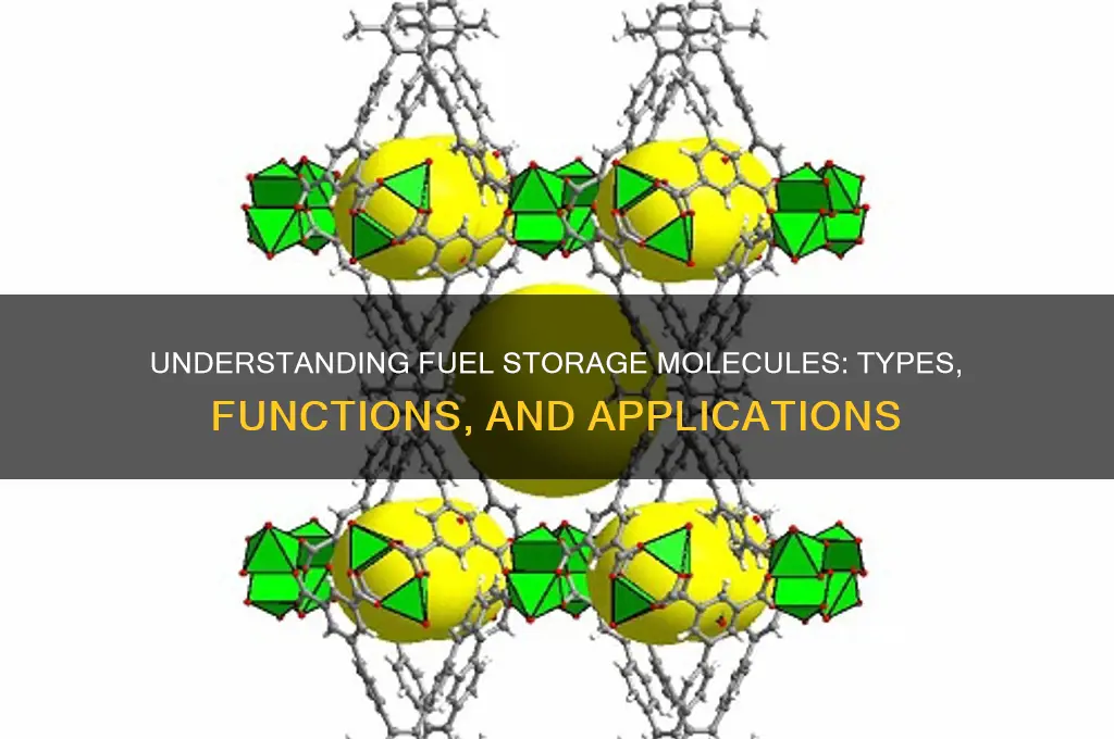 what are fuel storage molecuules