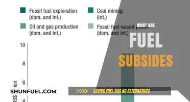 Understanding Fuel Subsidies: Definition, Impact, and Global Implications Explained