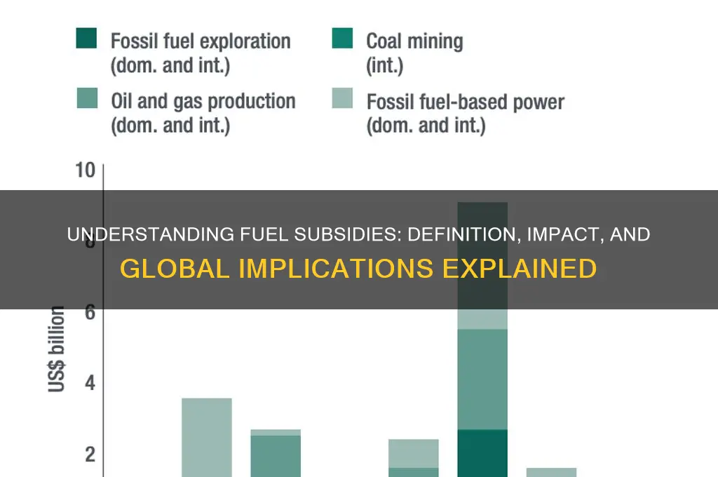 what are fuel subsides