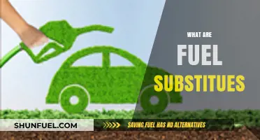Exploring Eco-Friendly Fuel Substitutes for a Sustainable Future