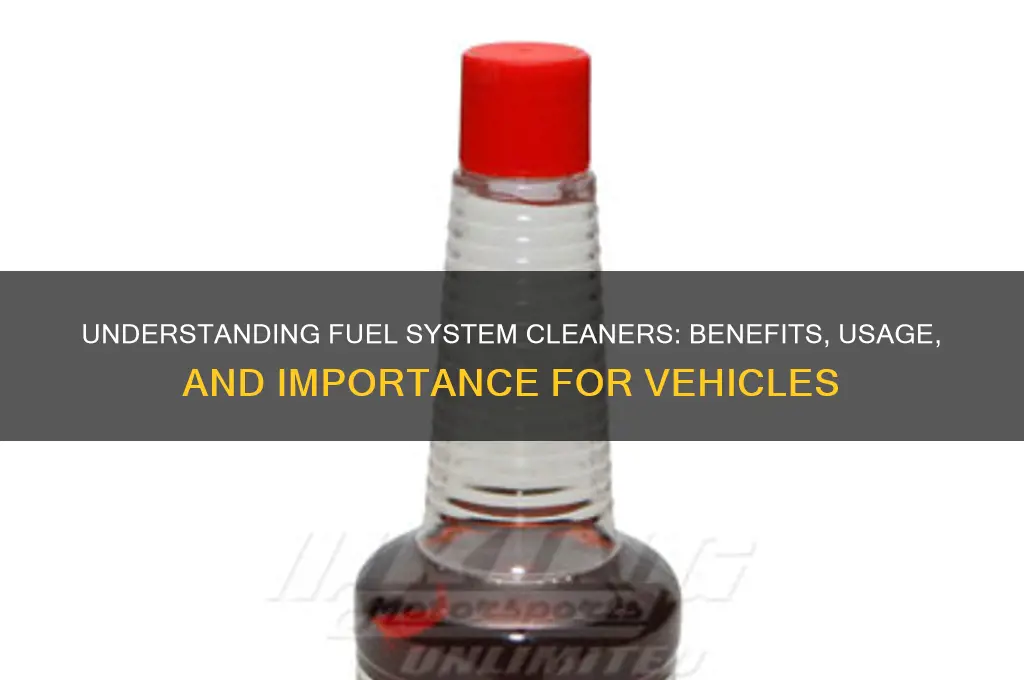 what are fuel system cleaners