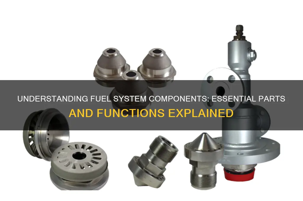 what are fuel system components