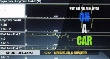 Understanding Fuel Trim Levels: How Your Car Runs Efficiently