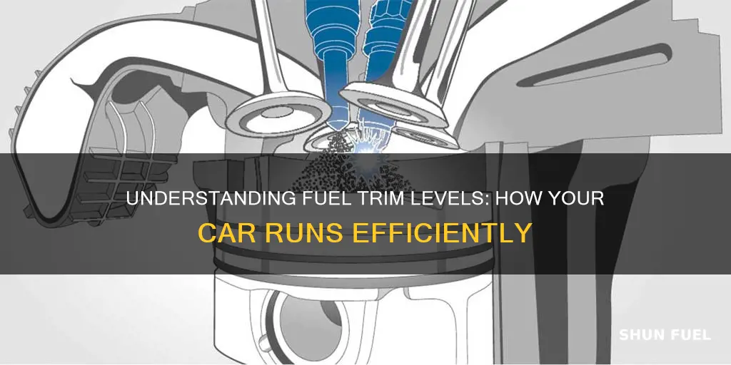 what are fuel trim levels on a car