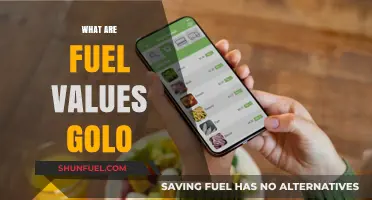 Understanding Fuel Values in GOLO: A Comprehensive Guide for Beginners