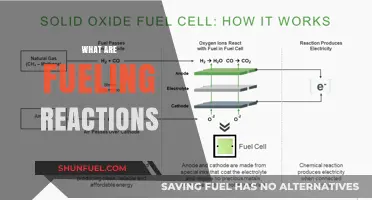 Understanding Fueling Reactions: Key Processes Powering Energy and Industry