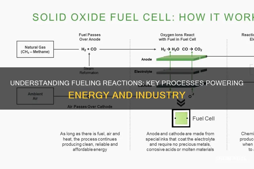 what are fueling reactions