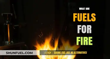 Understanding Fire Fuels: Types, Roles, and Combustion Essentials Explained