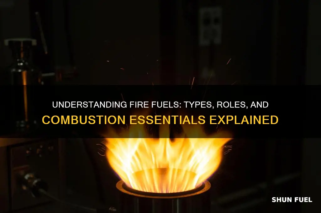 what are fuels for fire