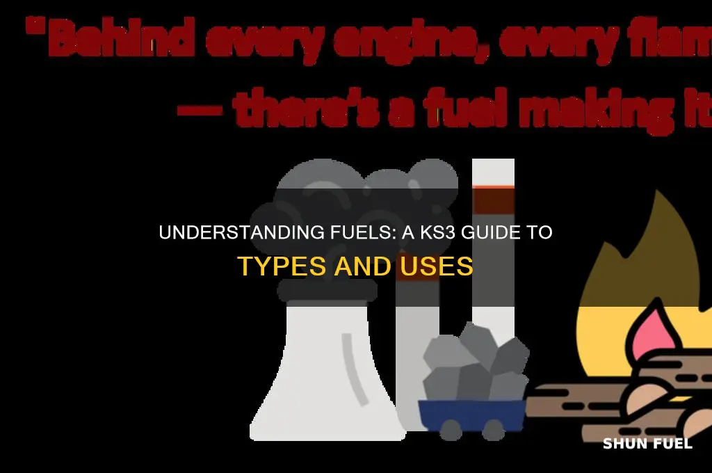what are fuels ks3