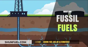 Understanding Fossil Fuels: Origins, Uses, and Environmental Impact Explained