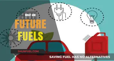 Exploring Future Fuels: Sustainable Energy Alternatives for a Greener Tomorrow