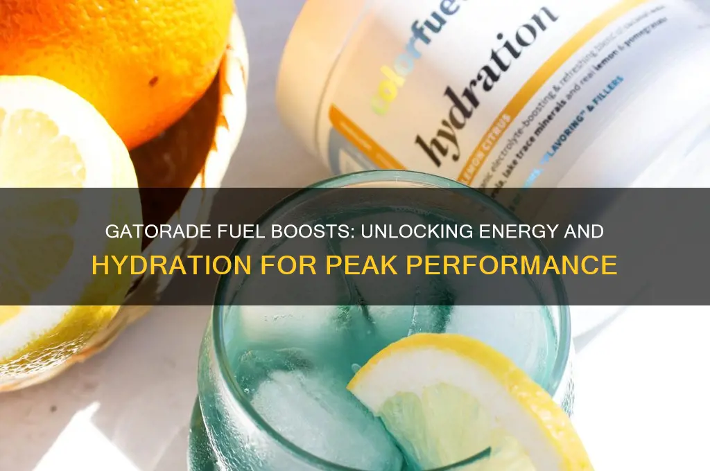 what are gatorade fuel boosts