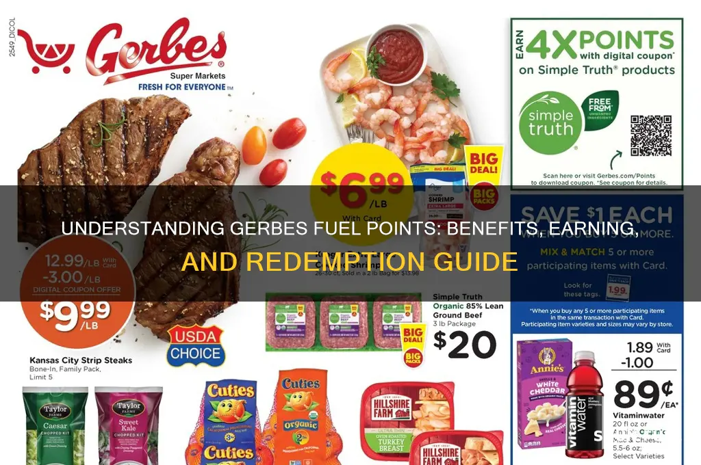 what are gerbes fuel points
