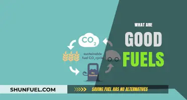 Exploring Efficient and Sustainable Fuel Options for a Greener Future