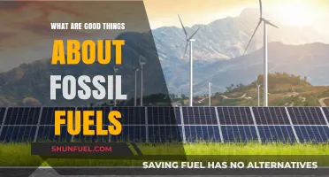 Fossil Fuels: Powering Our World, Pros and Cons