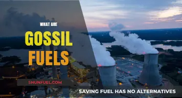 Understanding Fossil Fuels: Origins, Uses, and Environmental Impact Explained