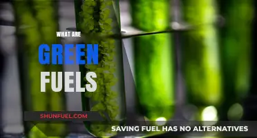 Exploring Green Fuels: Sustainable Energy Alternatives for a Greener Future