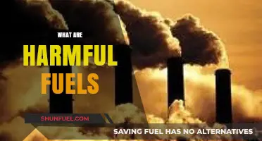Harmful Fuels: Environmental Impact, Health Risks, and Sustainable Alternatives