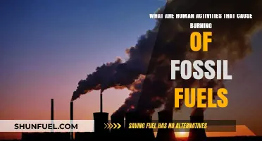 Human Activities: Burning Fossil Fuels