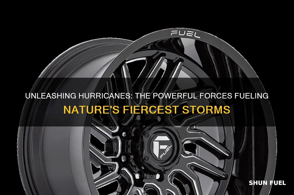 what are hurricanes fueled by