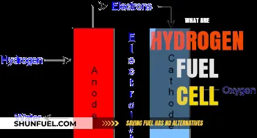 Understanding Hydrogen Fuel Cells: Clean Energy for a Sustainable Future