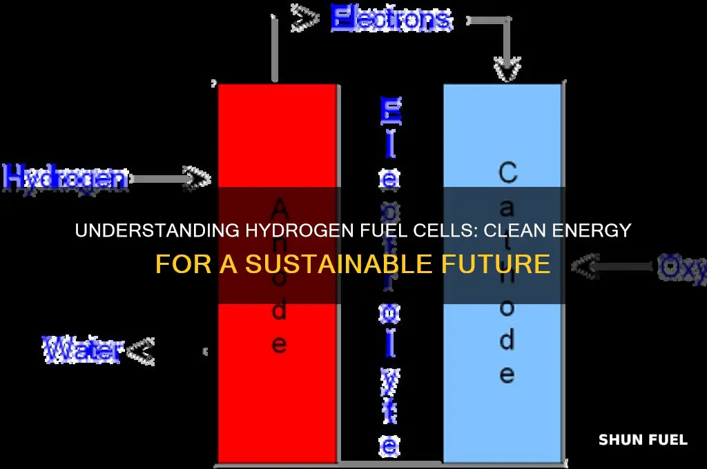what are hydrogen fuel cell