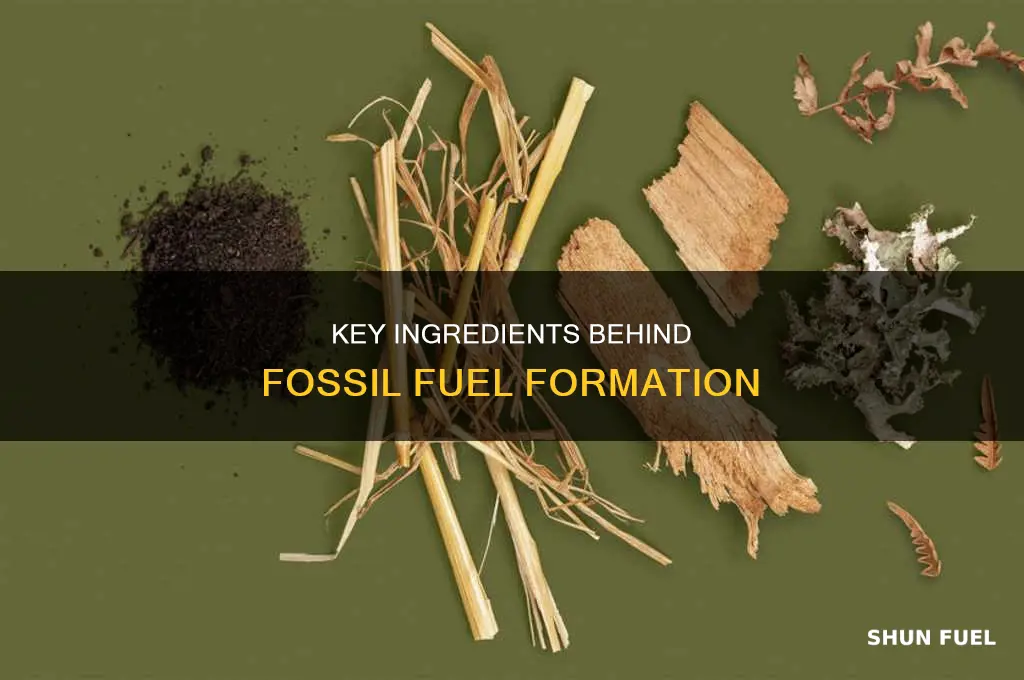 what are ingredients necessary for the formation of fossil fuels