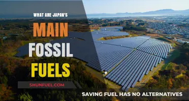 Japan's Fossil Fuel Sources: An Overview