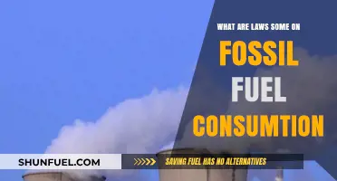 Fossil Fuel Laws: Reducing Our Carbon Footprint