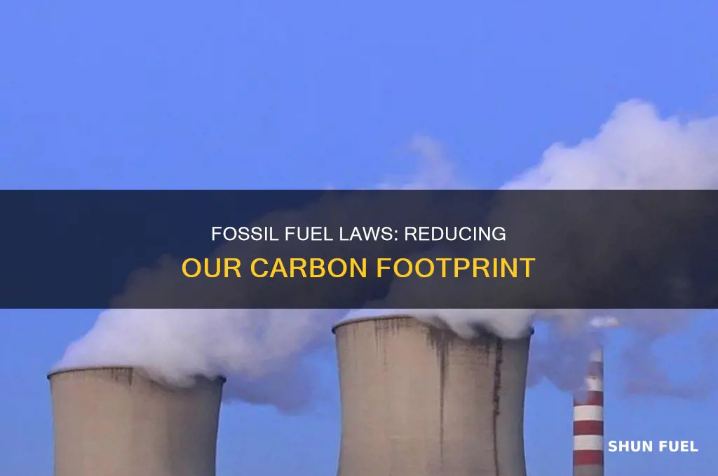 what are laws some on fossil fuel consumtion