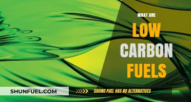 Understanding Low Carbon Fuels: Sustainable Energy for a Greener Future