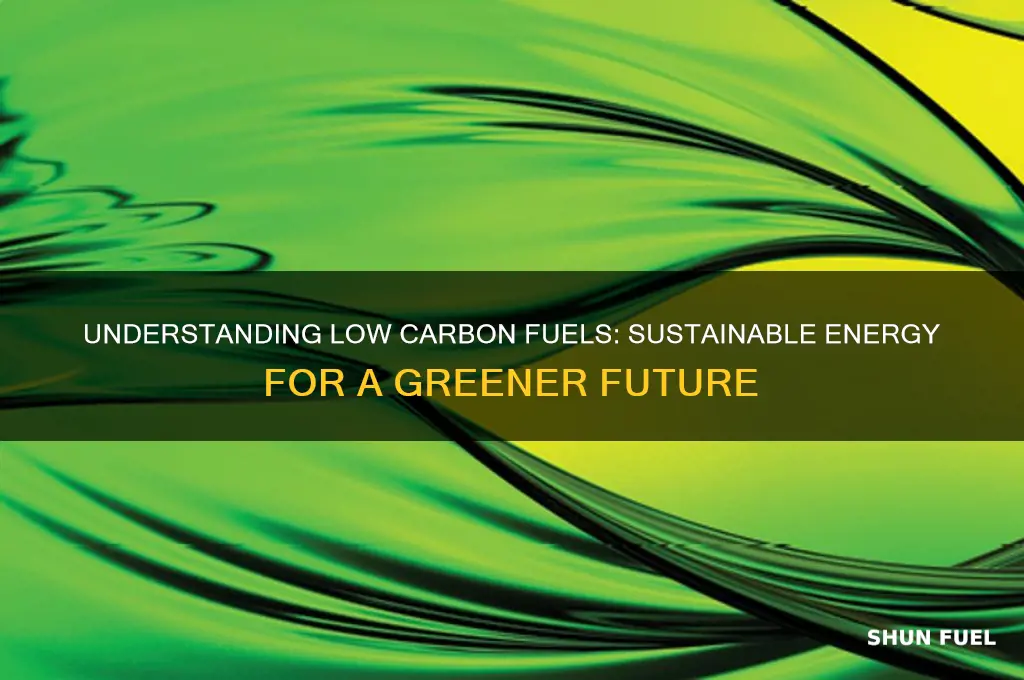 what are low carbon fuels