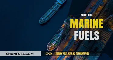 Understanding Marine Fuels: Types, Uses, and Environmental Impact