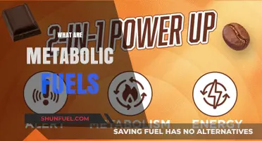 Understanding Metabolic Fuels: Energy Sources for Optimal Body Function