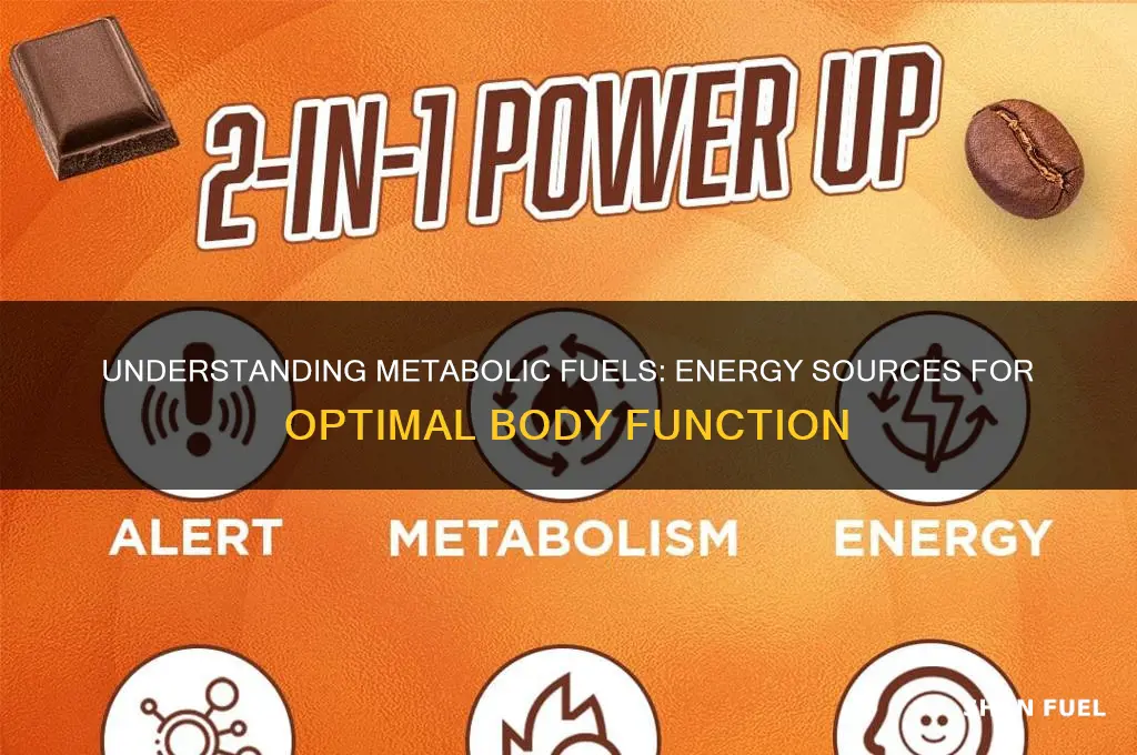 what are metabolic fuels