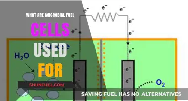 Microbial Fuel Cells: Applications in Energy, Wastewater, and Beyond