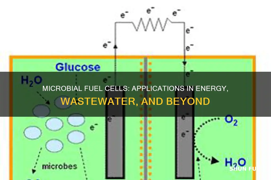 what are microbial fuel cells used for