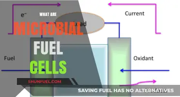 Microbial Fuel Cells: Harnessing Bacteria for Clean Energy Production