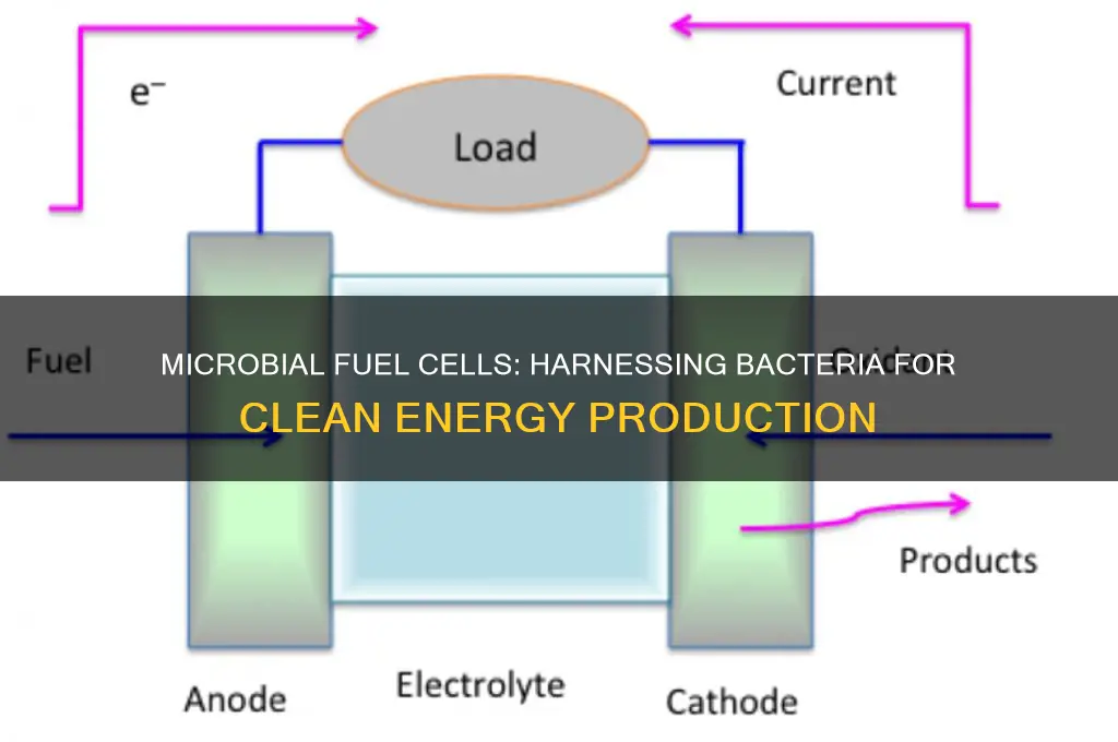 what are microbial fuel cells