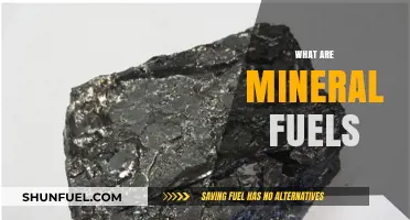 Understanding Mineral Fuels: Types, Uses, and Environmental Impact