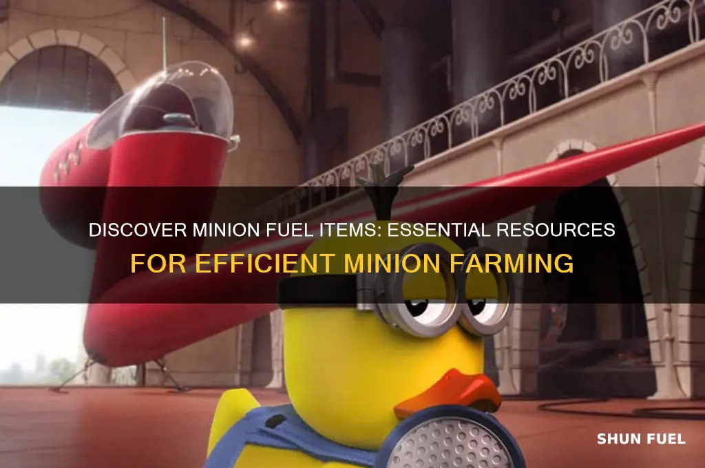 what are minion fuel items