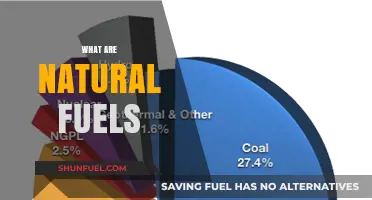 Exploring Natural Fuels: Earth's Organic Energy Sources and Their Impact